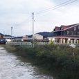 4D3N Bario Highlands Adventure
