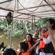 Borneo Cultural Village + Mangrove Cruise & Fireflies