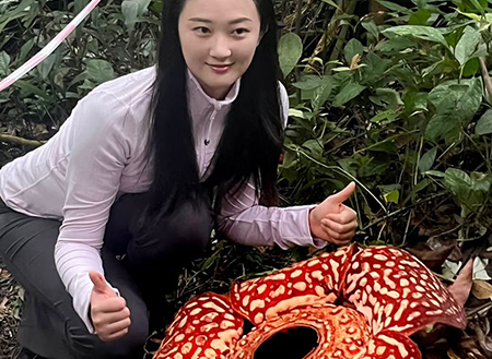 Tambunan Rafflesia Centre Tambunan Rafflesia Centre