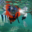 3D2N Kota Kinabalu + Island Excursion