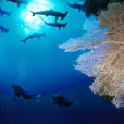 6D5N Layang Layang Island