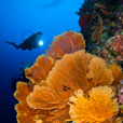 6D5N Layang Layang Island