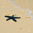 2D1N Mantanani Island (Sutera @ Mantanani Island Resort & Spa)