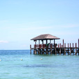 5D4N Kota Kinabalu + Nature Heritage + Island Excursion + Cultural Village + Mangroves Cruise