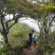 5D4N Summit Of Borneo + Island Excursion