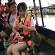 Bongawan Mangrove Cruise + Sky Mirror + Fireflies