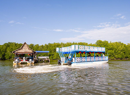 BINSULUK RIVER CRUISE (Probasics Monkey & Fireflies) BINSULUK RIVER CRUISE (Probasics Monkey & Fireflies)