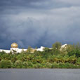Mangrove River Safari