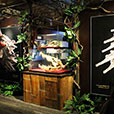 Jong Crocodile Farm & Mini Zoo