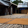 Annah Rais Bidayuh Longhouse