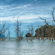 Bako National Park