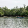 Santubong Wildlife Cruise