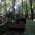 Gunung Gading National Park