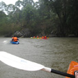 Kayaking In Rainforest Paradise