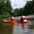 Kayaking In Rainforest Paradise