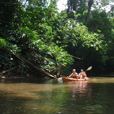 Kayaking In Rainforest Paradise