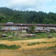 2D1N Traditional Iban Longhouse Safari