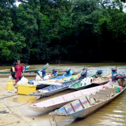 2D1N Traditional Iban Longhouse Safari