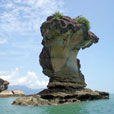 4D3N Kuching City + Bako National Park