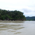 4D3N Kuching City + Bako National Park