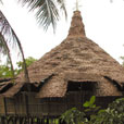 4D3N Semenggoh Orang Utan + River Cruise + Sarawak Cultural Village