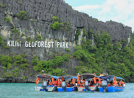 Mangrove & Cave Exploration