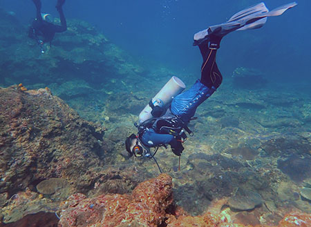 Payar Island Fun Dive - For Cert Diver Payar Island Fun Dive - For Cert Diver