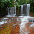 Lambir Hills National Park