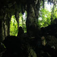 Niah National Park  - Niah Cave + Tusan Beach Tours