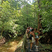 Niah National Park  - Niah Cave + Tusan Beach Tours