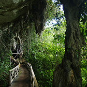 Niah National Park  - Niah Cave + Tusan Beach Tours
