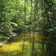2D1N Similajau National Park