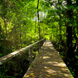 2D1N Similajau National Park