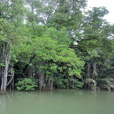 2D1N Similajau National Park