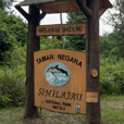 2D1N Similajau National Park