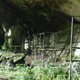 4D3N Miri City + Niah Cave + Borneo Tropical Rainforest