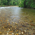 3D2N Mulu Pinnacles