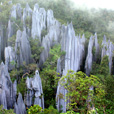 3D2N Mulu Pinnacles