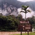 4D3N Mulu Caves + Pinnacles