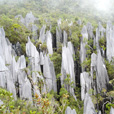 5D4N Mulu Pinnacles + Headhunter Trail
