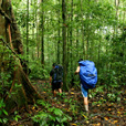 5D4N Mulu Pinnacles + Headhunter Trail