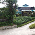 Sepilok Orang Utan Rehabilitation Centre + Rainforest Discovery Centre + Labuk Bay Proboscis Monkey Sanctuary