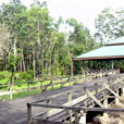 3D2N Kinabatangan River