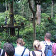 2D1N Selingan Turtle Island & Sepilok Orang Utan