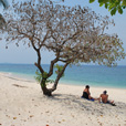 4D3N Selingan Turtle Island + Sepilok Orang Utan +  Kinabatangan River
