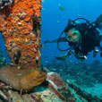 5D4N Mabul Island : Seaventures Dive Resort (Dive Rig)