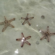 3D2N Semporna (Mataking + Timba-Timba Island + Pom Pom Island)
