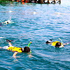 Semporna Private Boat Charter Service
